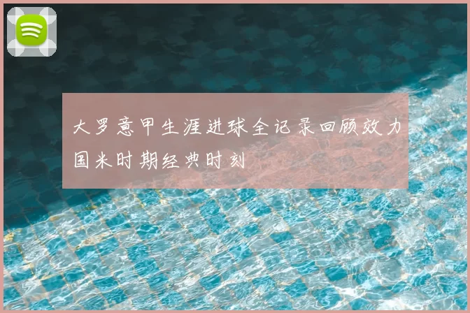 大罗意甲生涯进球全记录回顾效力国米时期经典时刻